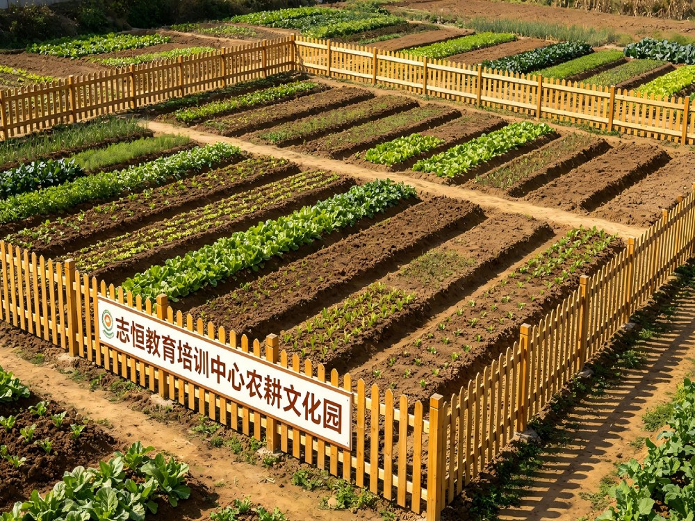 武汉叛逆孩子改变学校口碑推荐:从对抗到成长的系统化蜕变路径
